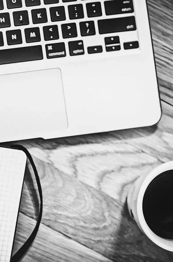 Diseño y desarrollo de páginas web en Guadalajara