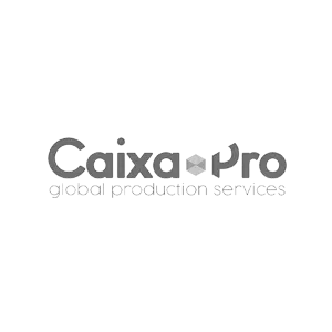 Desarrollo de sitios web profesionales para empresas